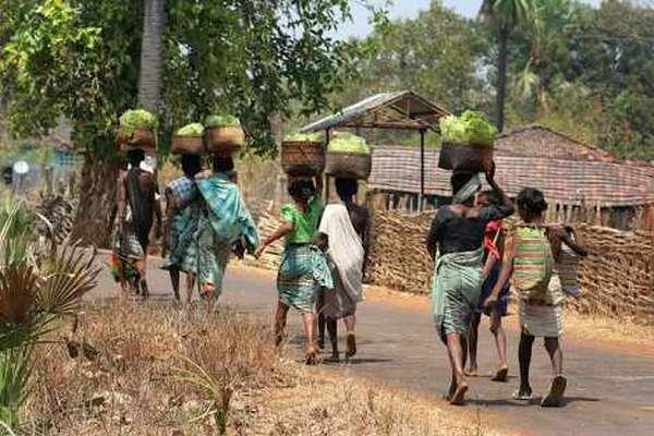 भतरी जाती लोक मन काजे पारतना करा 